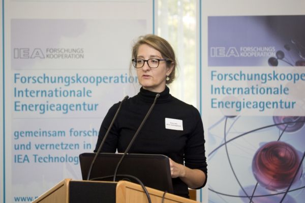 Elvira Lutter, Klima- und Energiefonds. 