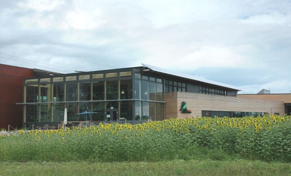 Glasbau und Sonnenblumenfeld des Biohofs Achleitner