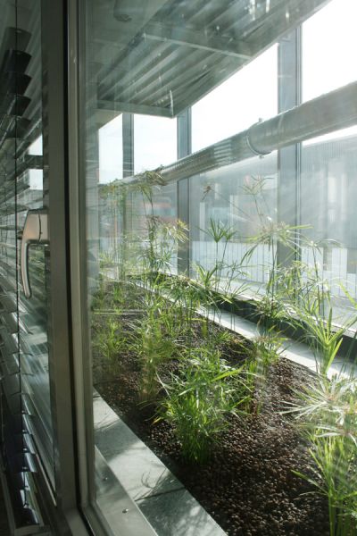Pflanzen in einem in den Fenstern integrierstes Miniglashaus