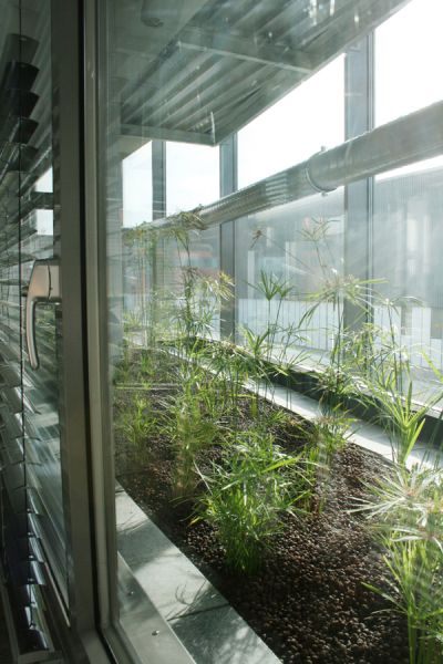 Pflanzen in einem in den Fenstern integrierstes Miniglashaus