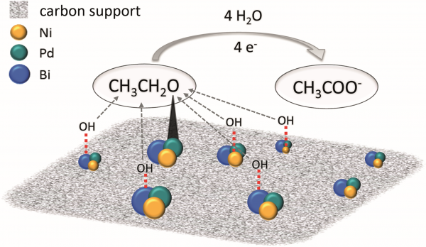 Kohlenstoffgeträgerte PdNiBi-Katalysatoren für die alkalische Ethanol-Oxidationsreaktion (EOR).