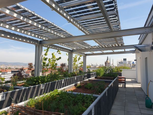 Kombination unterschiedlicher Nutzungen auf dem Dach - Photovoltaik und Urban Gardening