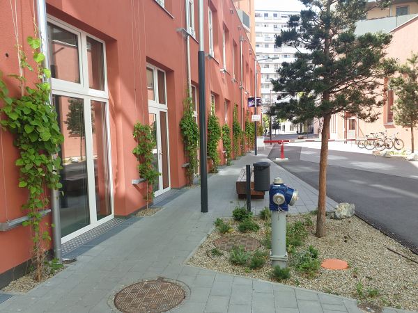 Die Gödelgasse als zentraler öffentlicher Raum in der Biotope City Wienerberg mit Fassadenbegrünungen und Maßnahmen zum Regenwassermanagement um das Wasser pflanzenverfügbar zu machen