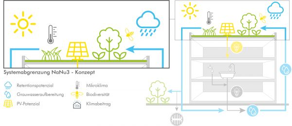 Grafische Übersicht der Systemgrenzen innerhalb des Projektes NaNu3. Der Fokus liegt auf einem Flachdach und den Komponenten Begrünung und dessen Klimabeitrag, Retentionspotential des Daches, Grauwasseraufbereitung, PV-Potenzial sowie der Beitrag zu Klima und Biodiversität.
