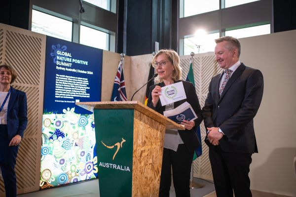Klimaschutzministerin Leonore Gewessler und Chris Bowen (australischer Energieminister)