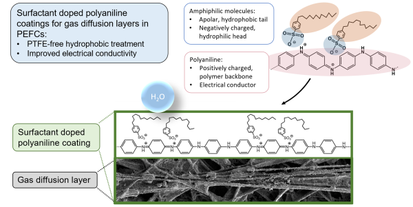 PTFE-freie Hydrophobisierung und verbesserte elektrische Leitfähigkeit: Oberflächenaktive Spezies aus unpolaren, negativ geladenen Kopfgruppen und apolaren Resten bestehen, lagern sich an das positiv geladene PANI-Gerüst an, welches für die elektrische Leitfähigkeit sorgt.