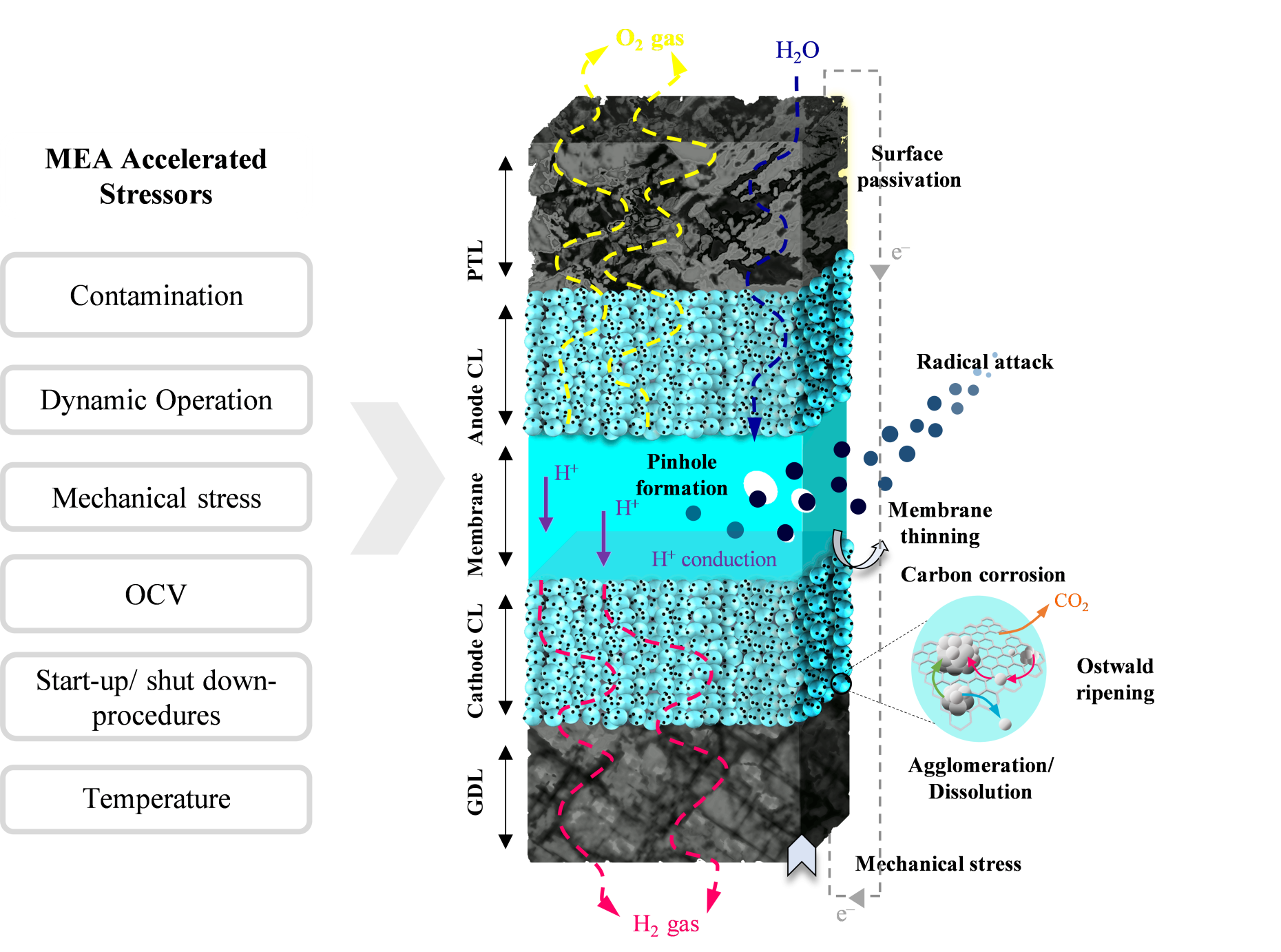 Bild aus dem Projekt