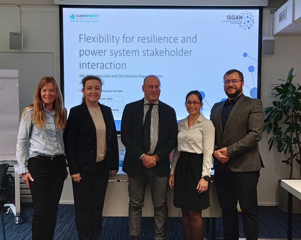 Referenten des ISGAN WG6-Workshops zum Thema Flexibilität für Widerstandsfähigkeit und Interaktion der Interessengruppen, Irina Oleinikova , Martha Symko-Davies, Antonio IIliceto, Barbara Herndler, Mihai Calin