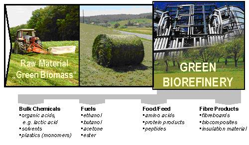 Green Biorefinery - Primary Processing And Utilization Of Fibres From ...