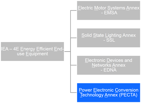 Structure of the 4E TCP