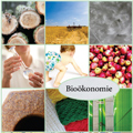 Icon Bioökonomie