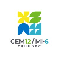 CEM/MI 6 Chile 2021