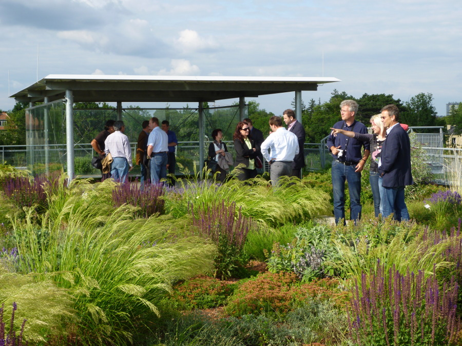 Group of people on a green roof